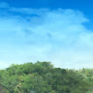 Meet your Posher, Rossy